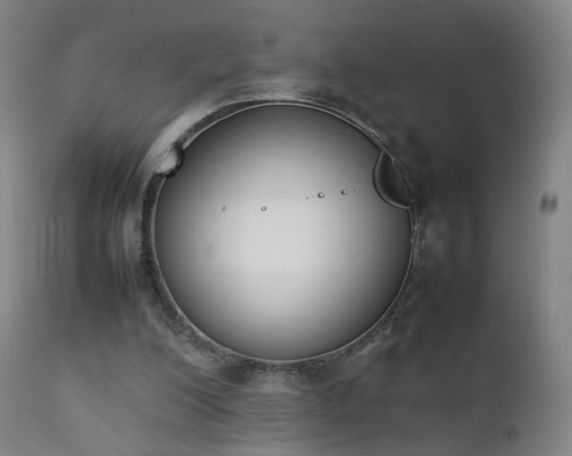 X0000111370200200907171207