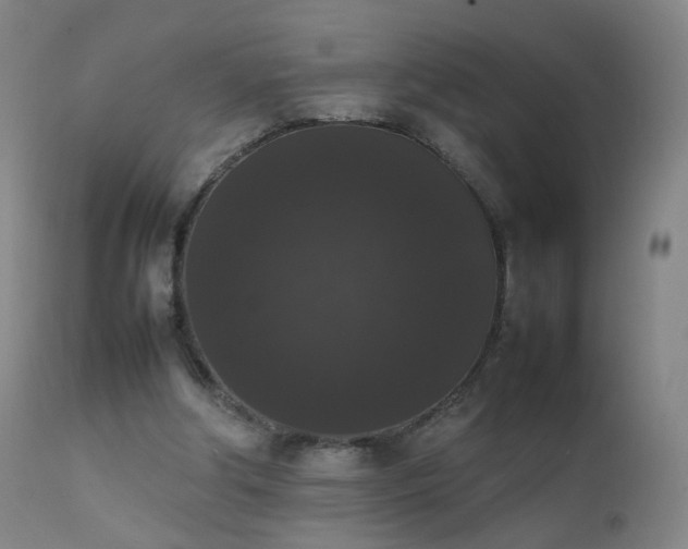 X0000111370202200907171207