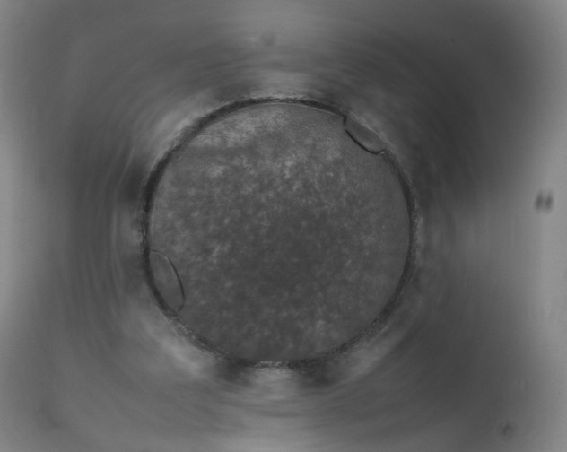 X0000111370203200907171206