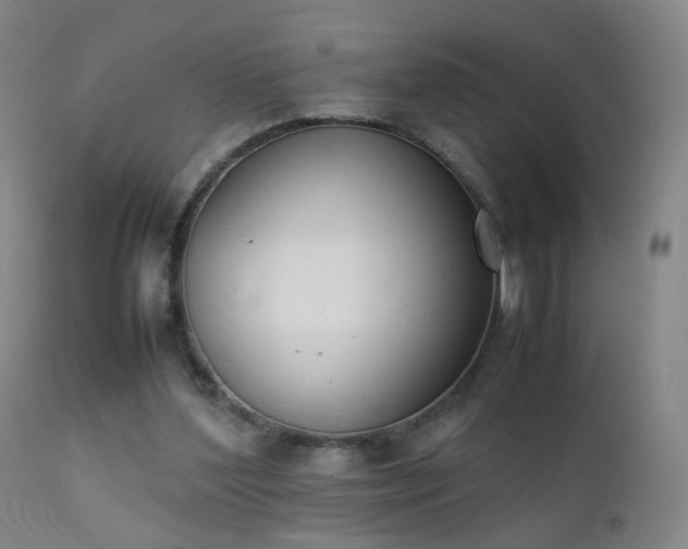 X0000111370204200907171206