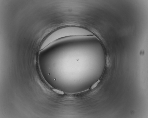 X0000111370205200907171206