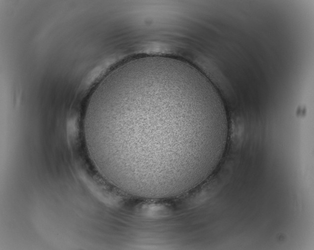 X0000111370208200907171206