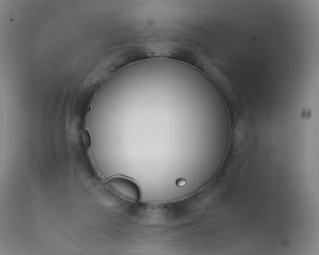 X0000111370209200907171206