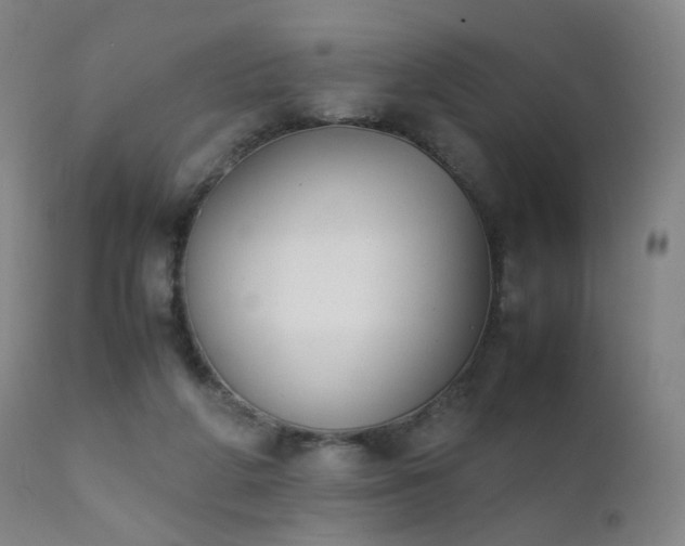 X0000111370210200907171206