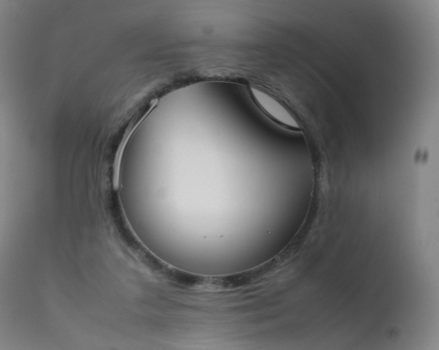 X0000111370211200907171206