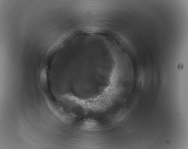 X0000111370214200907171206