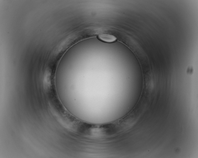 X0000111370216200907171206