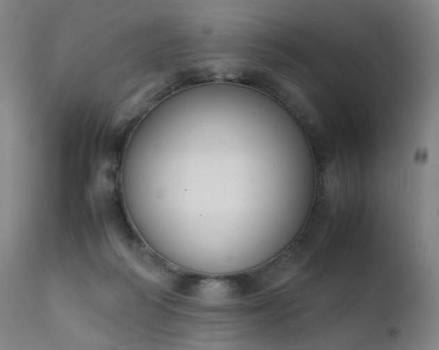 X0000111370218200907171206