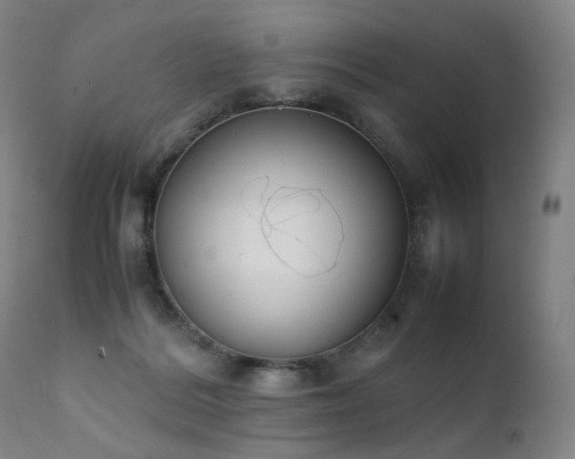 X0000111370220200907171206