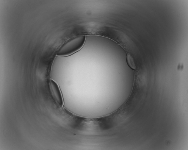 X0000111370221200907171206