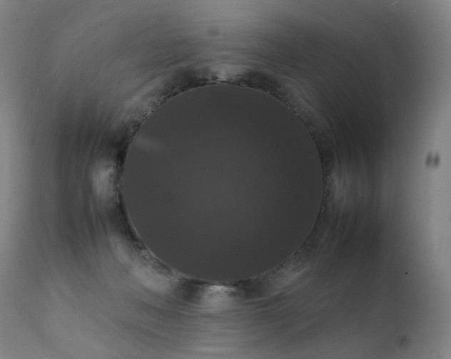 X0000111370222200907171206