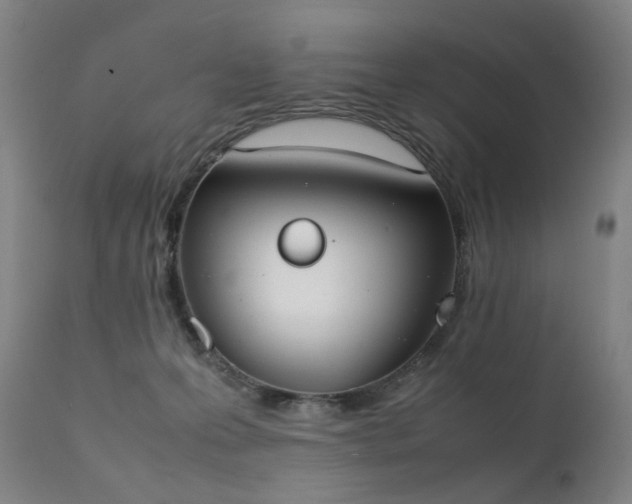 X0000111370223200907171206