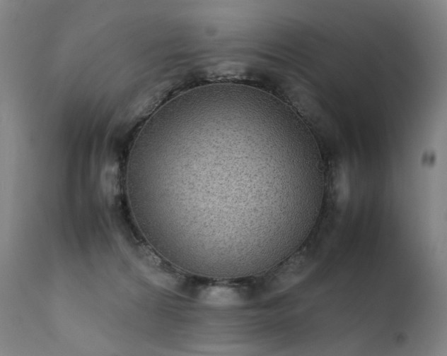 X0000111370224200907171206