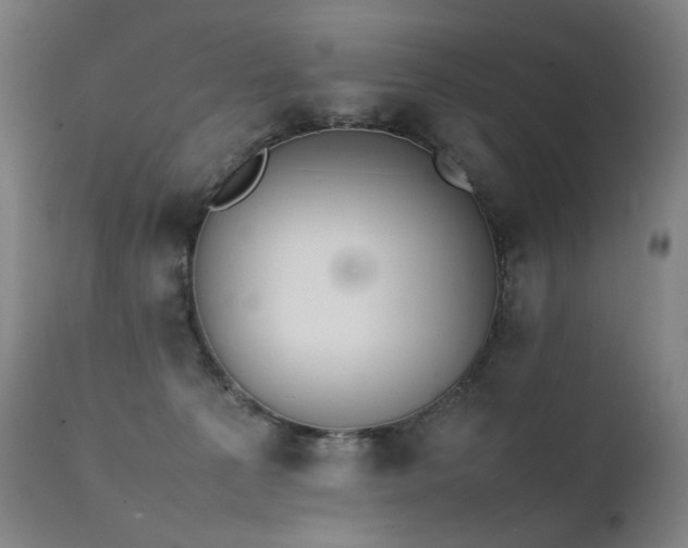 X0000111370225200907171206