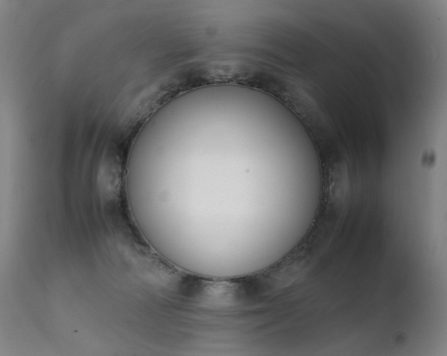 X0000111370226200907171206