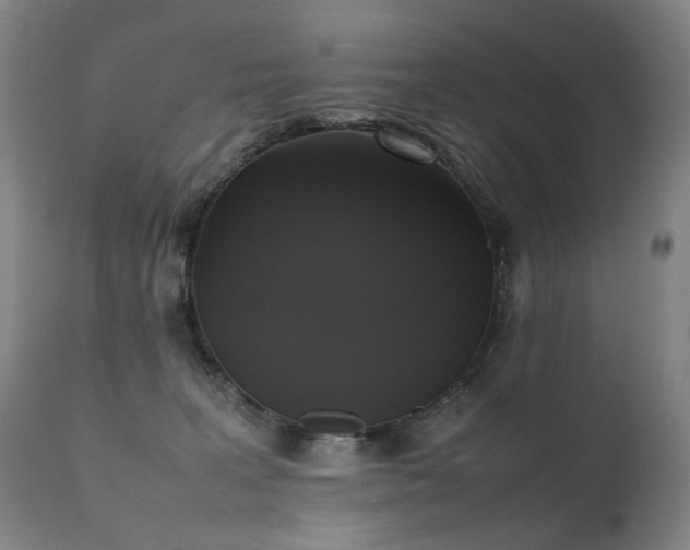 X0000111370227200907171206