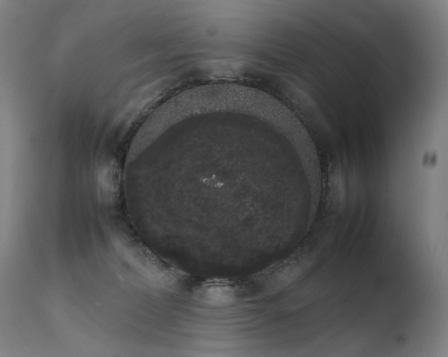 X0000111370228200907171206