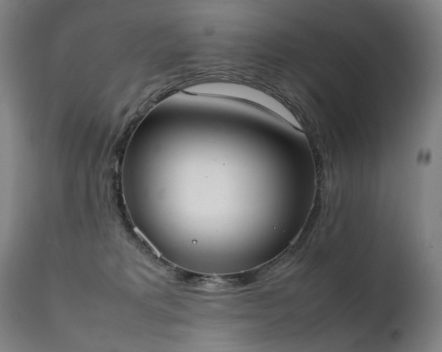 X0000111370229200907171206