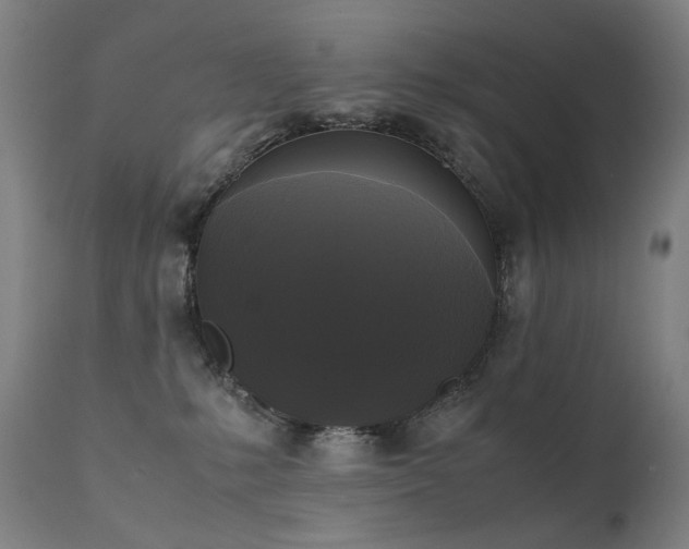 X0000111370231200907171206