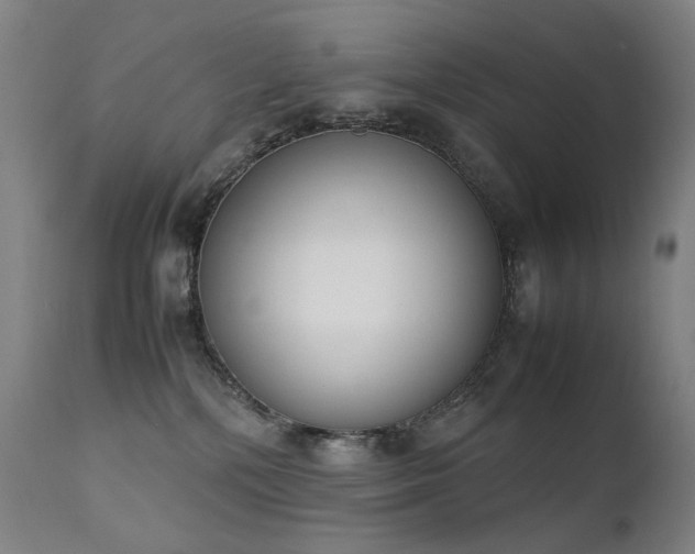 X0000111370232200907171206