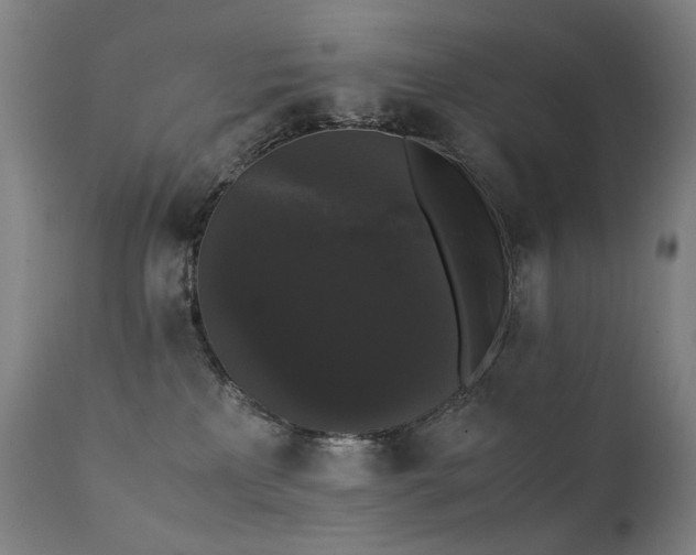 X0000111370233200907171206