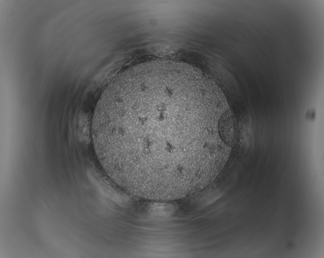 X0000111370234200907171206