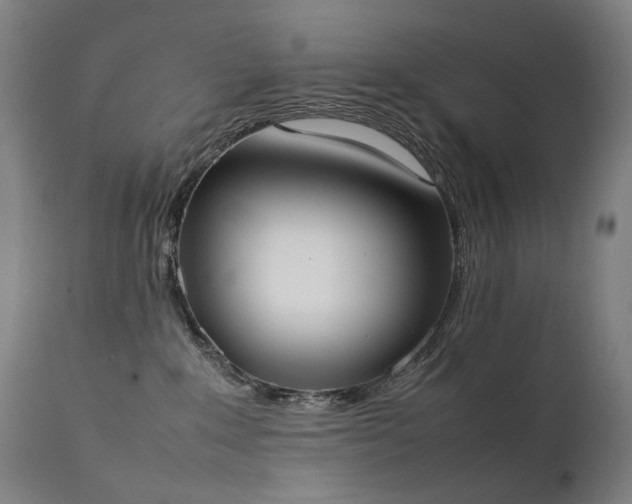 X0000111370235200907171206