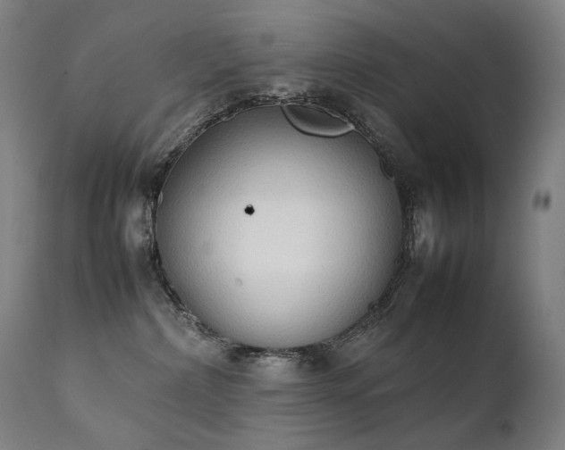 X0000111370236200907171206