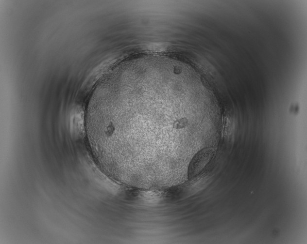 X0000111370238200907171206