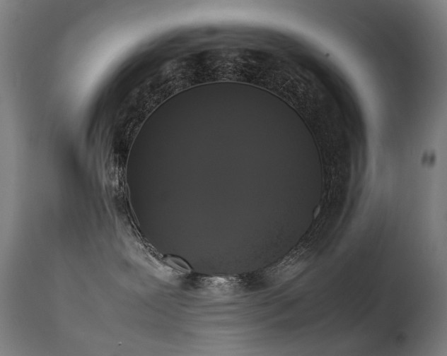 X0000111370239200907171206