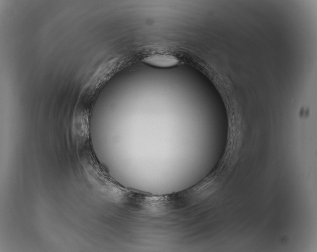 X0000111370240200907171206