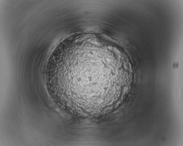 X0000111370241200907171205