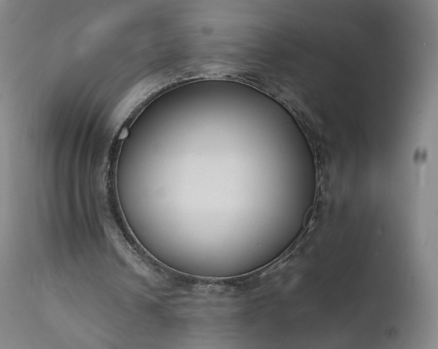 X0000111370242200907171205