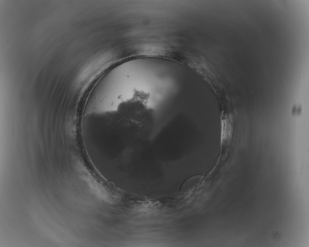 X0000111370243200907171205