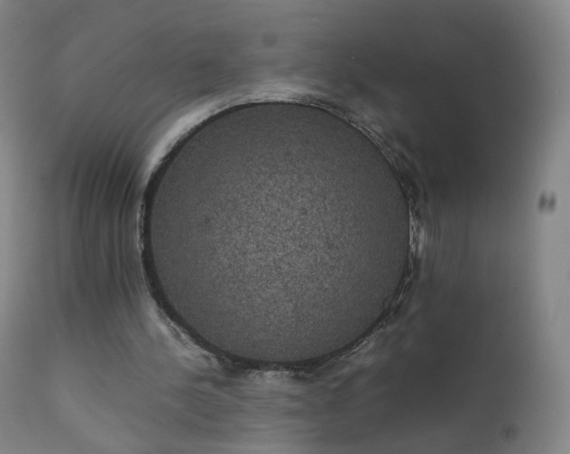 X0000111370244200907171205