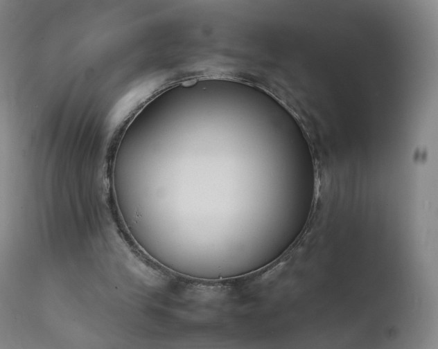 X0000111370245200907171205