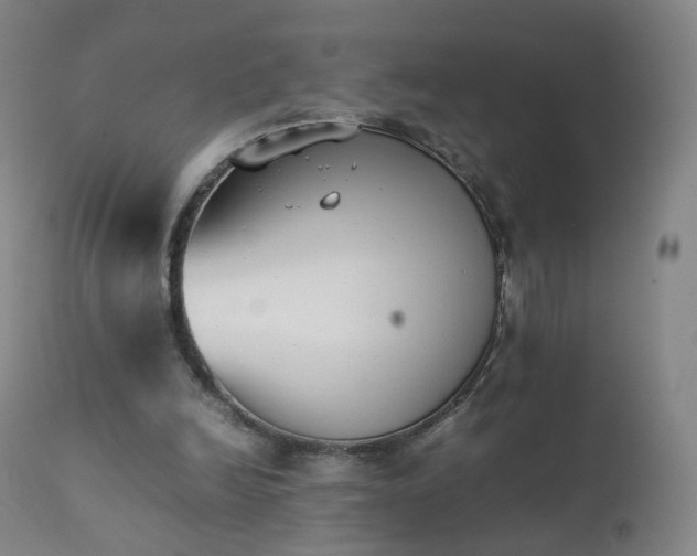 X0000111370246200907171205