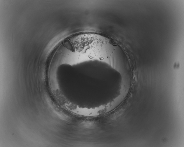 X0000111370247200907171205