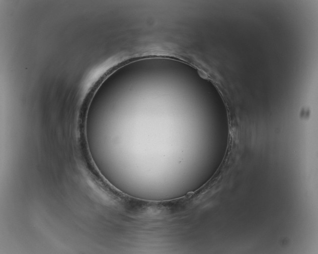 X0000111370248200907171205