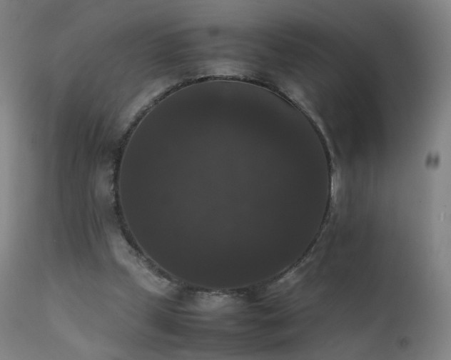 X0000111370249200907171205