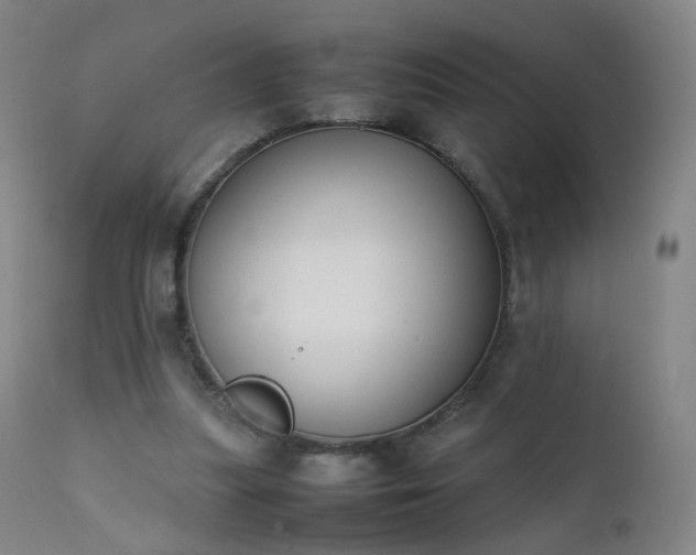 X0000111370251200907171205