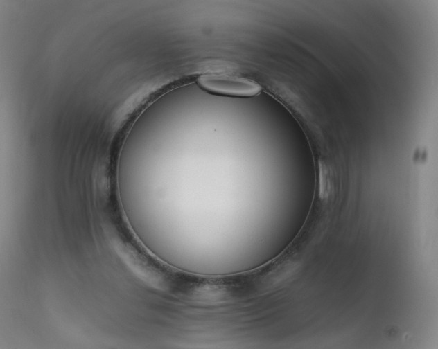 X0000111370252200907171205