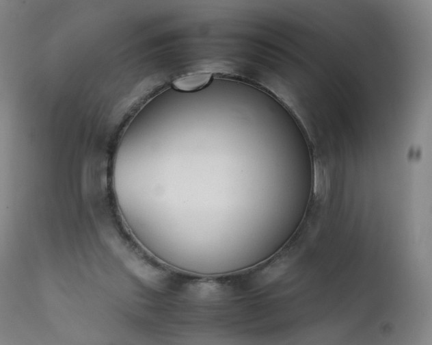 X0000111370253200907171205