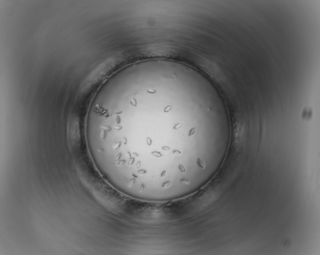 X0000111370254200907171205