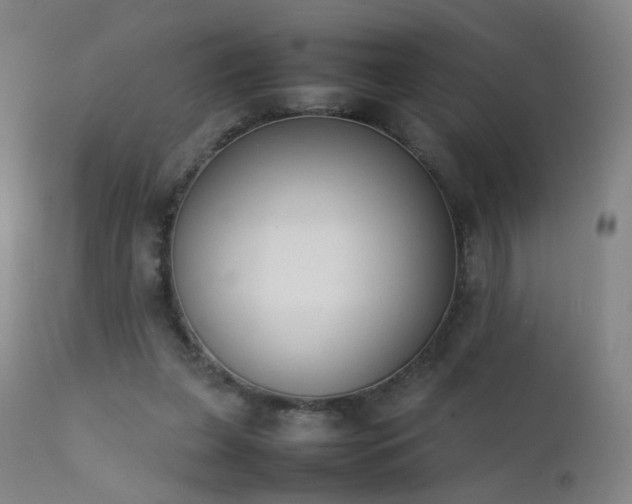 X0000111370255200907171205