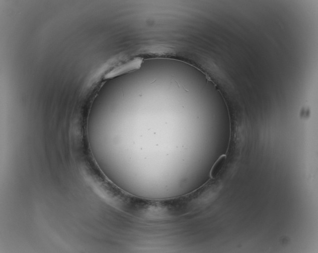 X0000111370256200907171205