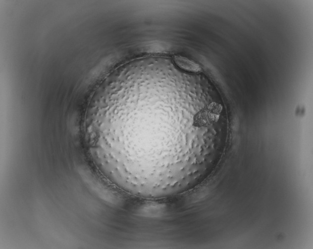 X0000111370257200907171205
