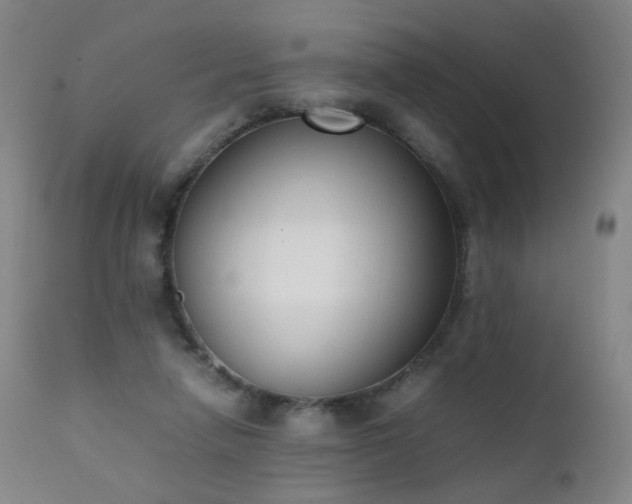 X0000111370258200907171205