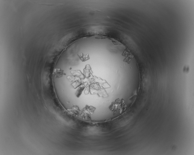 X0000111370259200907171205