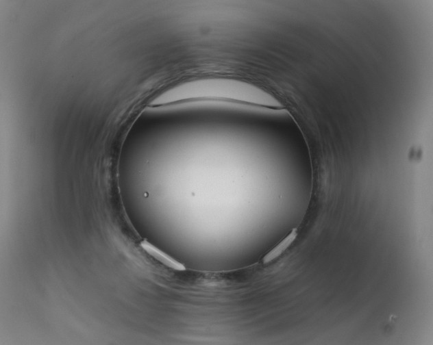 X0000111370260200907171205